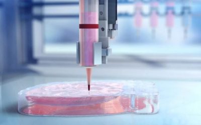 3D Bioprinting: The Future of Mankind