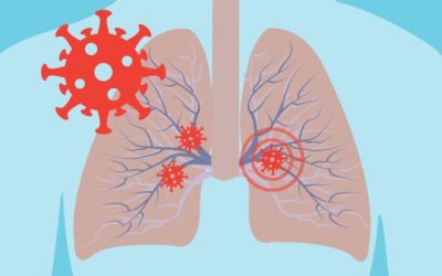 New-age Models to study lung diseases: A story relevant to the COVID-19 Pandemic